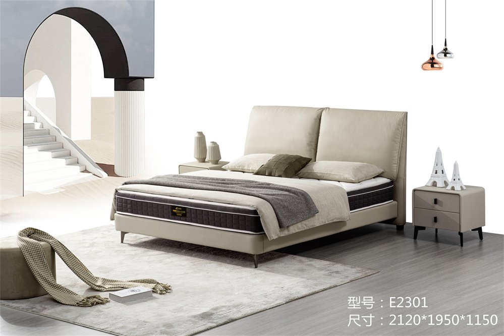 E2301 皮床