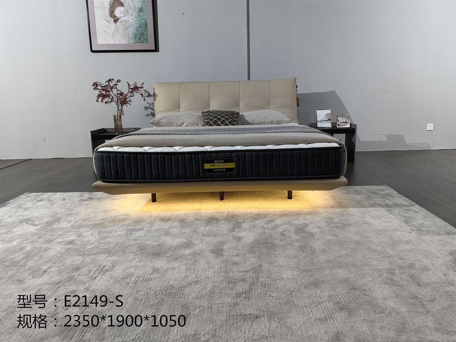 E2149-S皮床